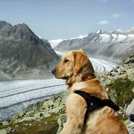 Aragon N103 By Interhome *